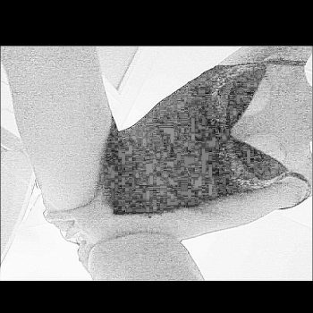 Diatou - Beinwil am See - Argovie | Sexe Femme