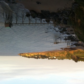 Jacynthe - Hölstein - Bâle-Campagne | Sexe Femme